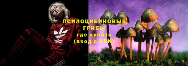 метадон Армянск
