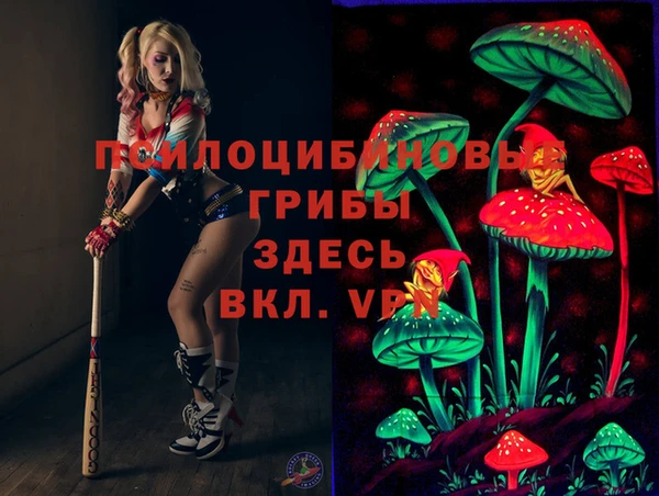 метадон Армянск