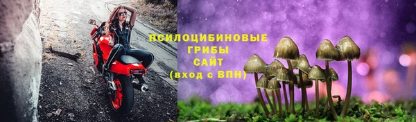 метадон Армянск